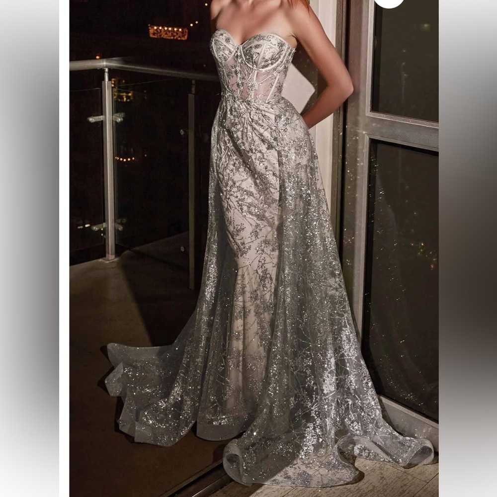 Cindrella Divine  CB046  Silver Dress